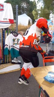 Aujourd'hui c'est le Vitalsport à @Decathlon Lorient .
Venez braver le soleil pour tester plein de sport dont le Hockey sur glace !!! ⚠️SPOILER ALERT⚠️ mais sans la glace!!!