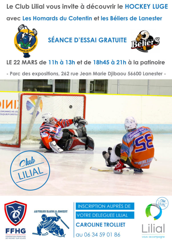 affiche-hockey-luge